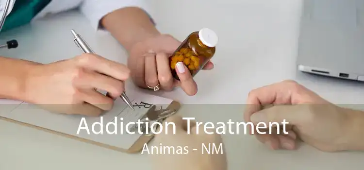 Addiction Treatment Animas - NM