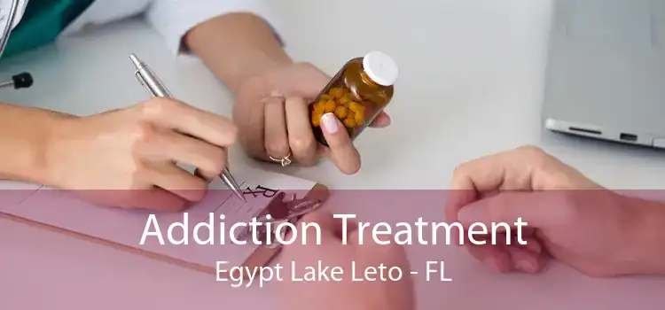 Addiction Treatment Egypt Lake Leto - FL