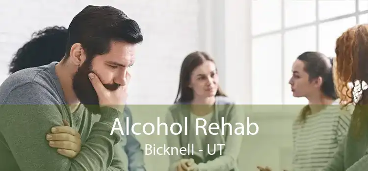 Alcohol Rehab Bicknell - UT