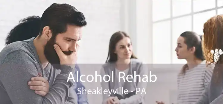 Alcohol Rehab Sheakleyville - PA