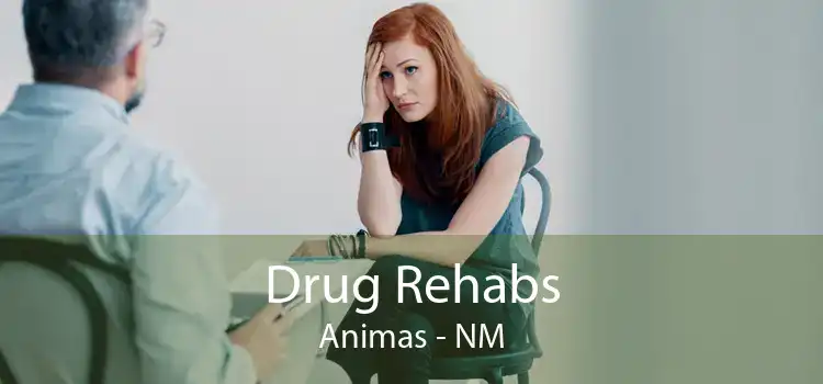 Drug Rehabs Animas - NM