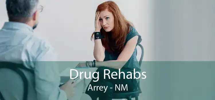 Drug Rehabs Arrey - NM