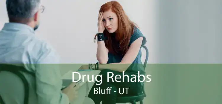 Drug Rehabs Bluff - UT