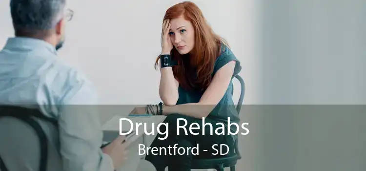 Drug Rehabs Brentford - SD