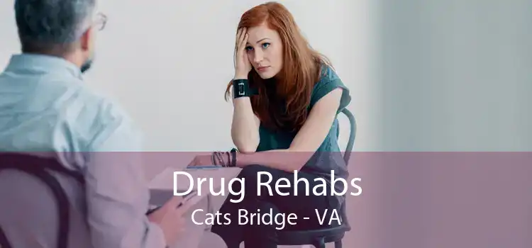 Drug Rehabs Cats Bridge - VA