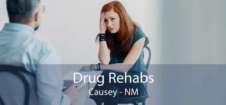 Drug Rehabs Causey - NM