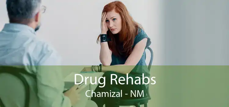 Drug Rehabs Chamizal - NM