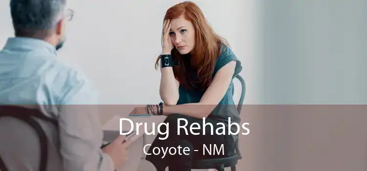 Drug Rehabs Coyote - NM