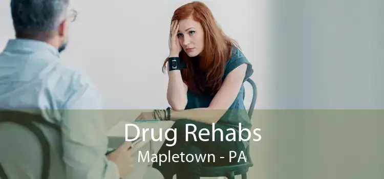 Drug Rehabs Mapletown - PA