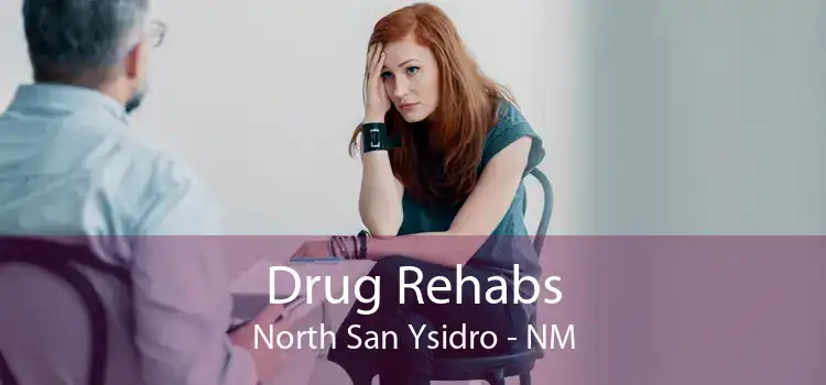 Drug Rehabs North San Ysidro - NM