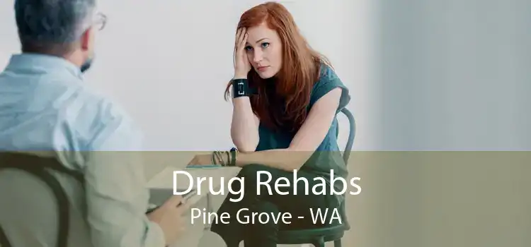 Drug Rehabs Pine Grove - WA