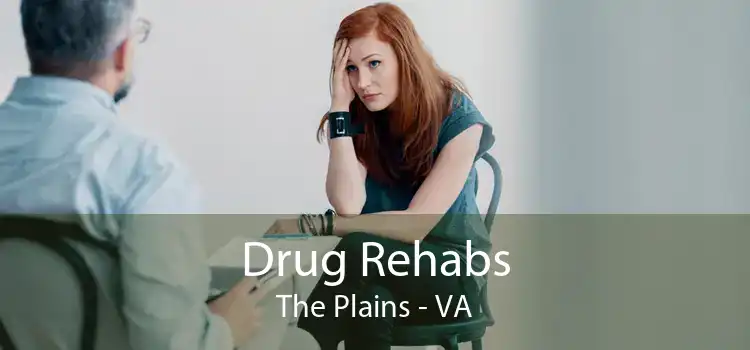 Drug Rehabs The Plains - VA