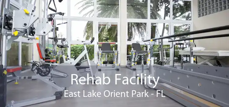 Rehab Facility East Lake Orient Park - FL