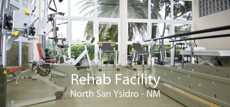 Rehab Facility North San Ysidro - NM